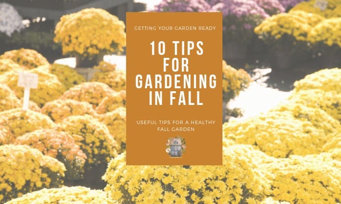 Getting Your Garden Ready in Fall