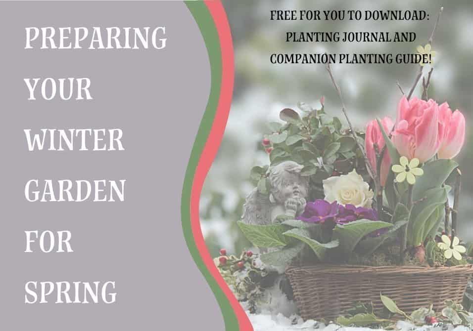 Preparing Your Winter Garden for Spring