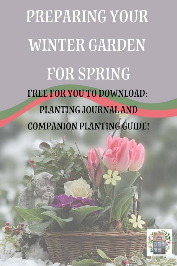 Winter Garden Plan